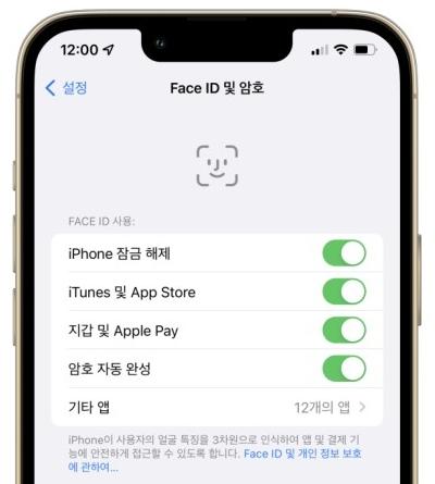 Face ID 설정 확인